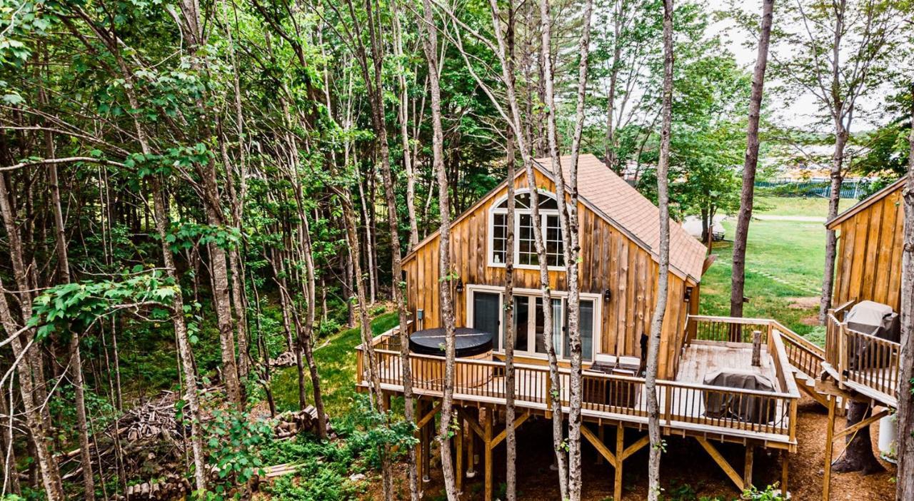 Moonlight Treehouse At Belgrade Hospitality Villa Bagian luar foto